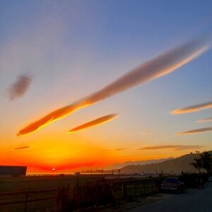 Roxy Disney Place Kids Live Show Quick Listing